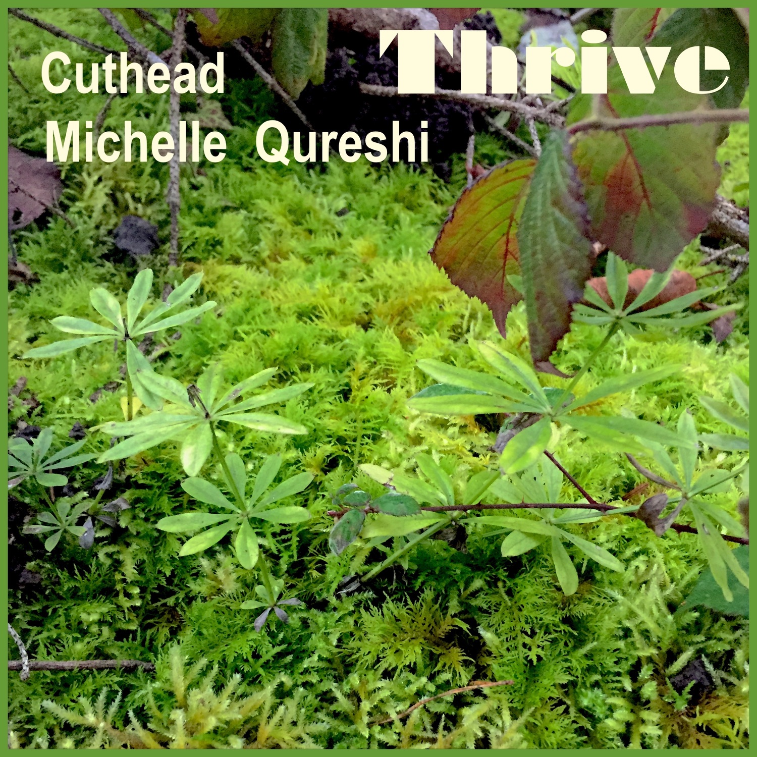 Thrive